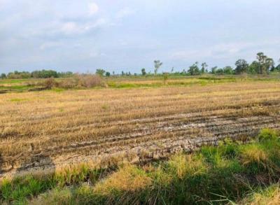 ที่ดิน 3200000 นครนายก เมืองนครนายก ท่าทราย