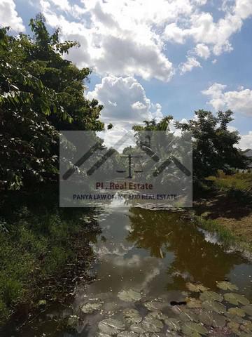 ที่ดิน 30000 กรุงเทพมหานคร เขตตลิ่งชัน ฉิมพลี