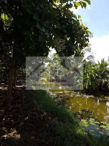 ที่ดิน 30000 กรุงเทพมหานคร เขตตลิ่งชัน ฉิมพลี