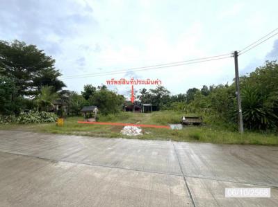 บ้านเดี่ยว 1760000 สุราษฎร์ธานี ชัยบุรี สองแพรก
