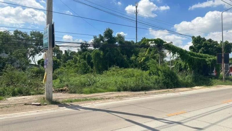 ที่ดิน 88050000 ปทุมธานี ลำลูกกา ลาดสวาย