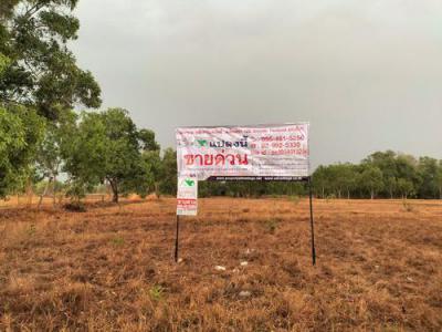 ที่ดิน 1350000 อุบลราชธานี กิ่งอำเภอเหล่าเสือโก้ก เหล่าเสือโก้ก