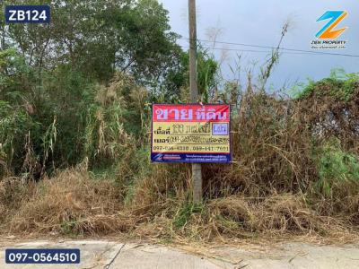 ที่ดิน 4900000 นนทบุรี บางบัวทอง บางบัวทอง