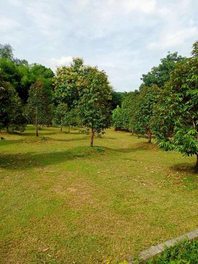 บ้านเดี่ยว 6900000 นครนายก เมืองนครนายก เขาพระ