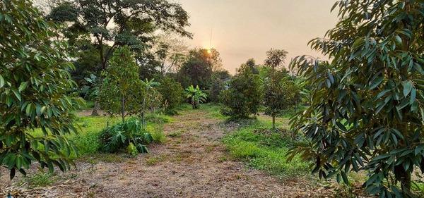 บ้านเดี่ยว 6900000 นครนายก เมืองนครนายก เขาพระ