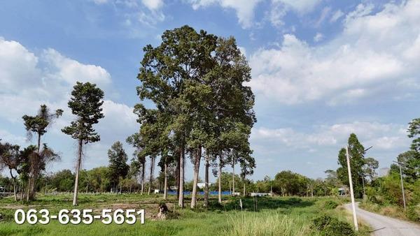 ที่ดิน 7689500 นครนายก บ้านนา บ้านพริก