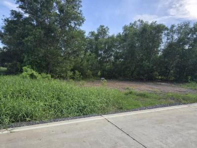 ที่ดิน 2800000 ปทุมธานี คลองหลวง คลองสาม