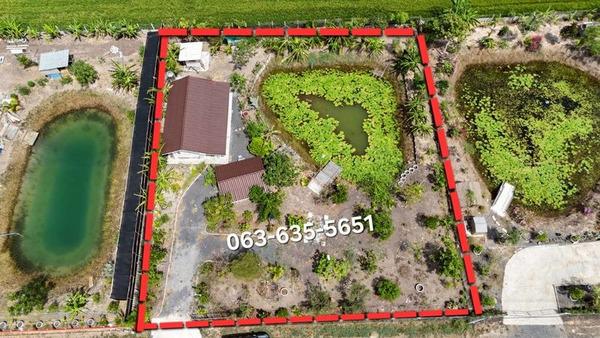 บ้านเดี่ยว 2500000 นครนายก บ้านนา ทองหลาง