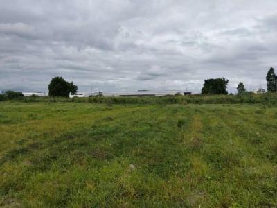 ที่ดิน 96700000 ชลบุรี ศรีราชา หนองขาม