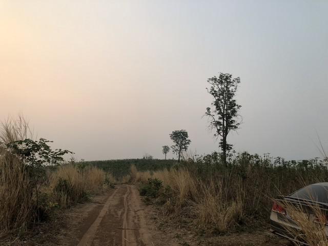 ที่ดิน 250000 เพชรบูรณ์ หล่มเก่า หล่มเก่า