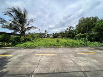 ที่ดิน 15225000 นนทบุรี เมืองนนทบุรี ท่าทราย