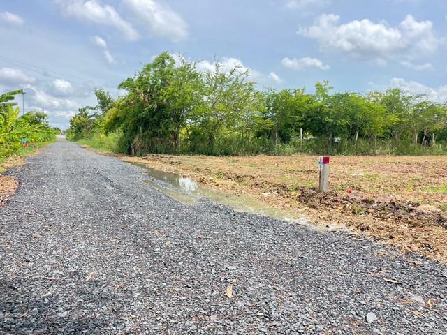 ที่ดิน 10000 ปทุมธานี คลองหลวง คลองสี่