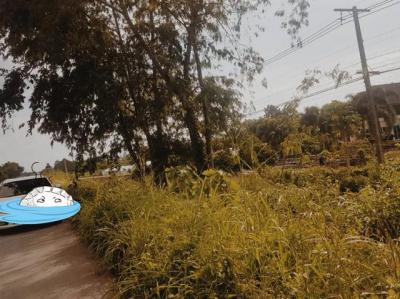 ที่ดิน 2500000 ตาก บ้านตาก ตากออก