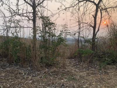 ที่ดิน 250000 เพชรบูรณ์ หล่มเก่า หล่มเก่า