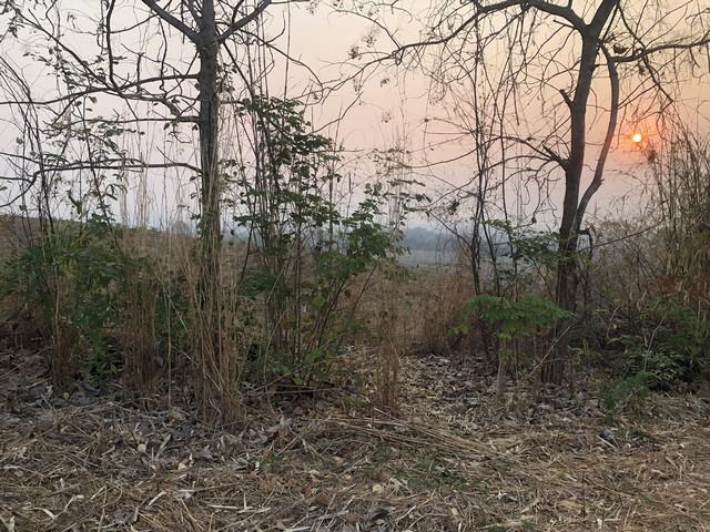 ที่ดิน 250000 เพชรบูรณ์ หล่มเก่า หล่มเก่า