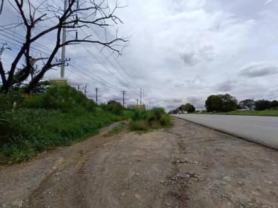 ที่ดิน 196188000 นครราชสีมา ปากช่อง ขนงพระ