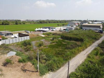 ที่ดิน 1250000 ปทุมธานี ลำลูกกา บึงทองหลาง