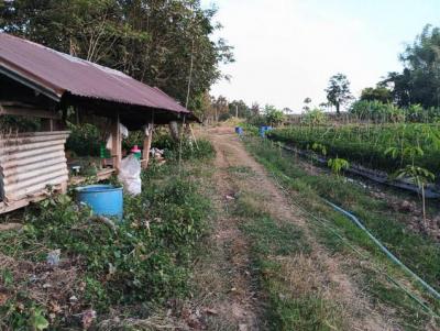 ที่ดิน 800000 หนองคาย โพนพิสัย กุดบง
