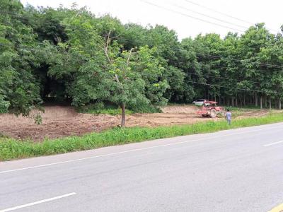 ที่ดิน 3300000 เชียงราย ขุนตาล ป่าตาล