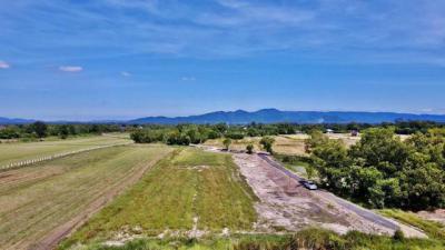 ที่ดิน 480000 นครนายก บ้านนา อาษา