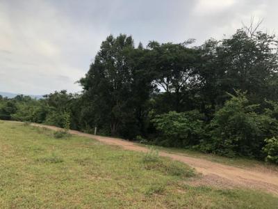 ที่ดิน 300000 ขอนแก่น สีชมพู นาจาน