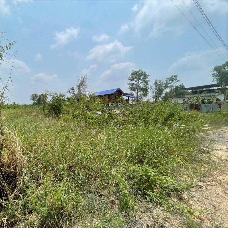 ที่ดิน 3200000 กรุงเทพมหานคร เขตคลองสามวา ทรายกองดิน