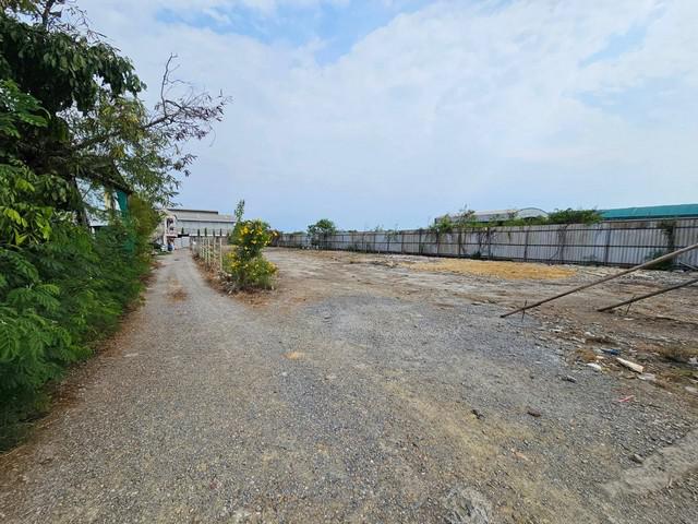 ที่ดิน 39000 สมุทรสาคร กระทุ่มแบน คลองมะเดื่อ