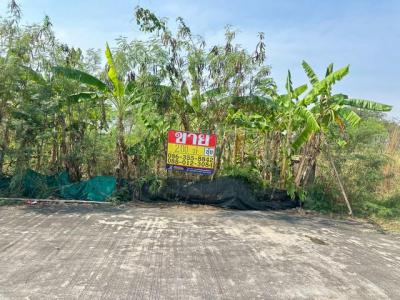 ที่ดิน 3500000 ชลบุรี บ้านบึง หนองชาก