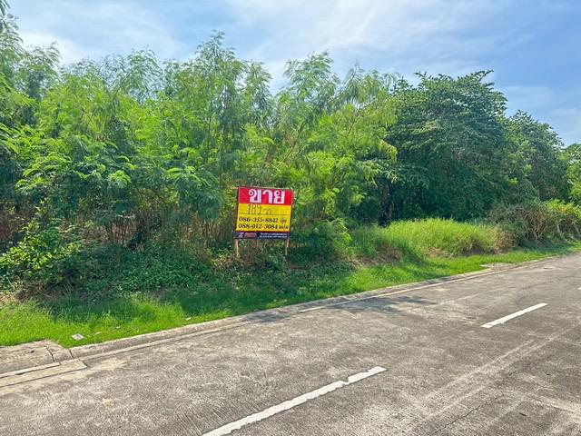 ที่ดิน 20790000 กรุงเทพมหานคร เขตบางเขน ท่าแร้ง