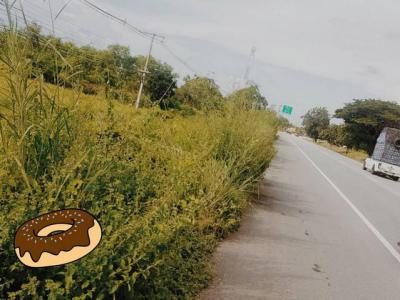 ที่ดิน 2500000 ตาก บ้านตาก ตากออก