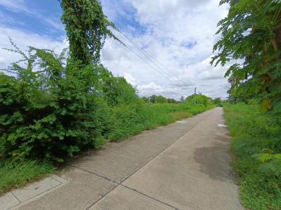 ที่ดิน -2 สุพรรณบุรี เมืองสุพรรณบุรี รั้วใหญ่