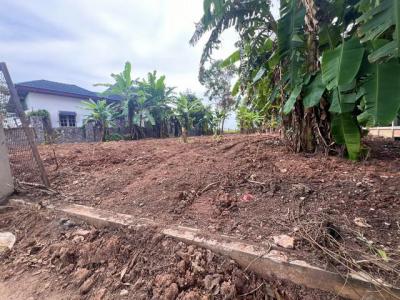 ที่ดิน 2600000 ระยอง แกลง กร่ำ