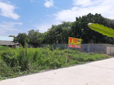 ที่ดิน 500000 นครนายก เมืองนครนายก พรหมณี