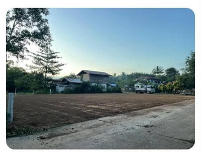 ที่ดิน 450000 อุดรธานี ทุ่งฝน ทุ่งใหญ่