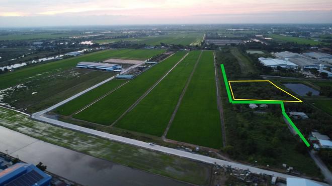 ที่ดิน 19800000 ฉะเชิงเทรา เมืองฉะเชิงเทรา คลองอุดมชลจร