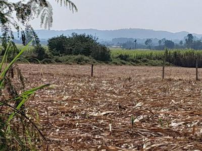 ที่ดิน 2900000 นครราชสีมา ปากช่อง วังไทร