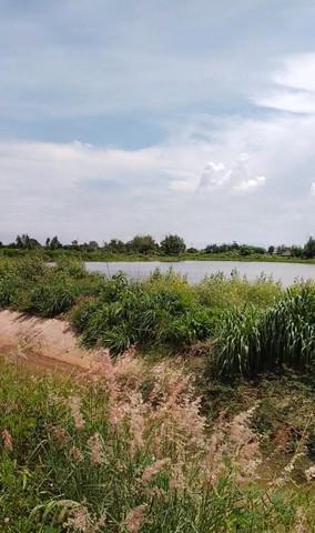 ที่ดิน 5850000 ชลบุรี พนัสนิคม ท่าข้าม