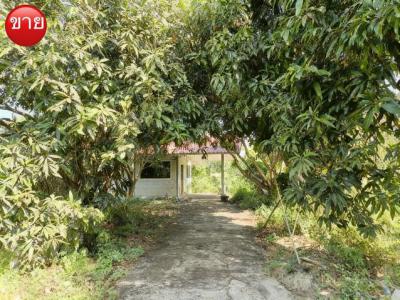 ที่ดิน 3410000 นนทบุรี ไทรน้อย หนองเพรางาย
