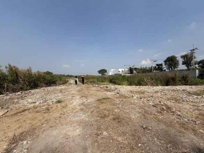 ที่ดิน 462400000 ปทุมธานี เมืองปทุมธานี บางกะดี