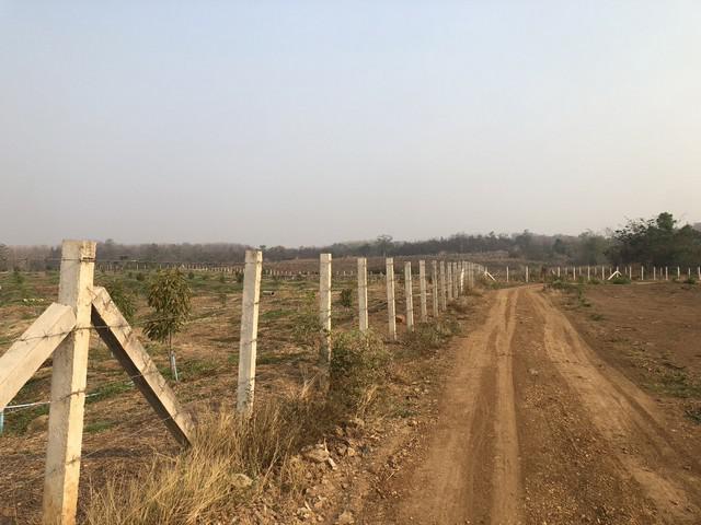 ที่ดิน 250000 เพชรบูรณ์ หล่มเก่า หล่มเก่า