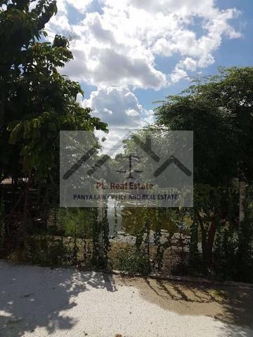 ที่ดิน 30000 กรุงเทพมหานคร เขตตลิ่งชัน ฉิมพลี