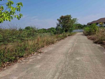 ที่ดิน 3500000 เชียงใหม่ หางดง หารแก้ว