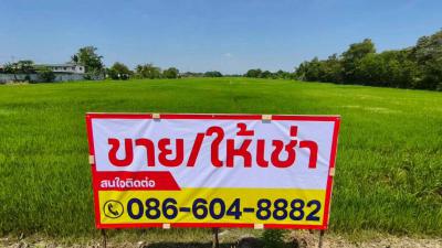 ที่ดิน 122500000 กรุงเทพมหานคร เขตหนองจอก โคกแฝด