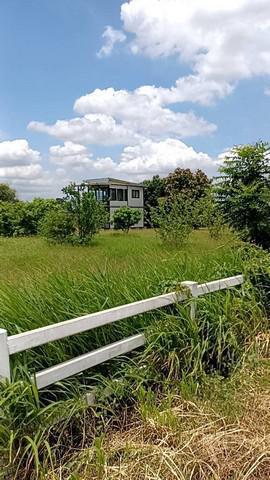 ที่ดิน 3000000 สระบุรี เฉลิมพระเกียรติ พุแค