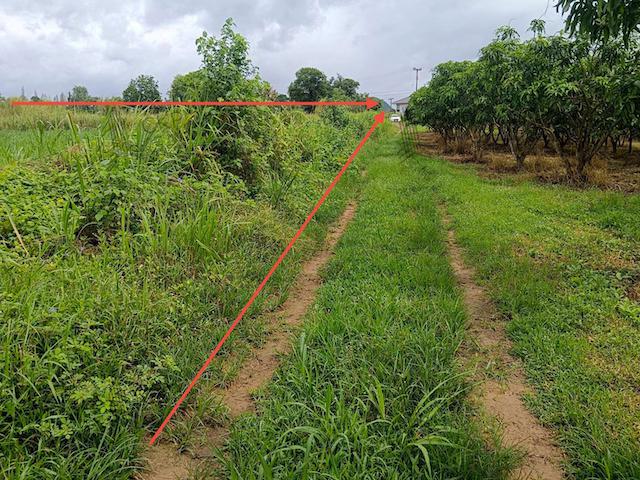 ที่ดิน 2300000 ประจวบคีรีขันธ์ หัวหิน หนองพลับ