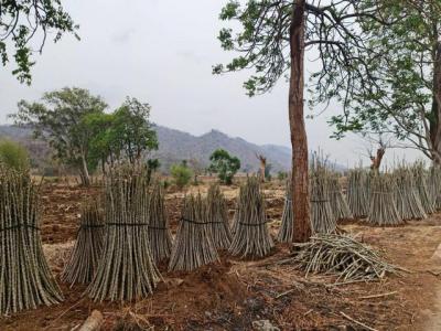 ที่ดิน 300000 นครสวรรค์ เมืองนครสวรรค์ พระนอน