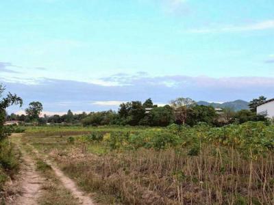 ที่ดิน 112000000 ชลบุรี บางละมุง ตะเคียนเตี้ย