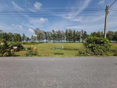 ที่ดิน 1893000 สงขลา ระโนด บ่อตรุ