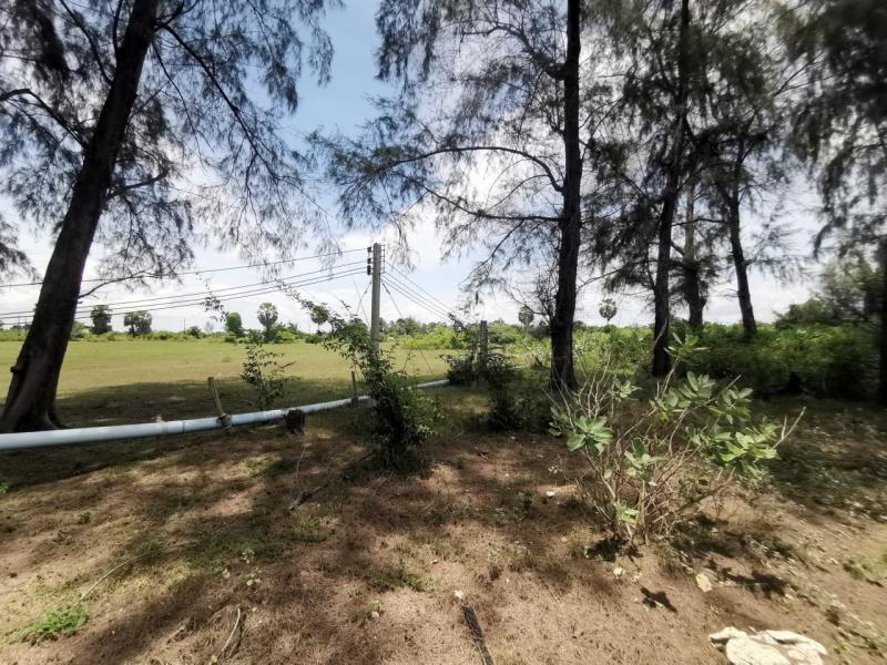 ที่ดิน 1893000 สงขลา ระโนด บ่อตรุ