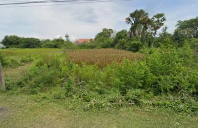 ที่ดิน 600000 สงขลา ระโนด ระโนด